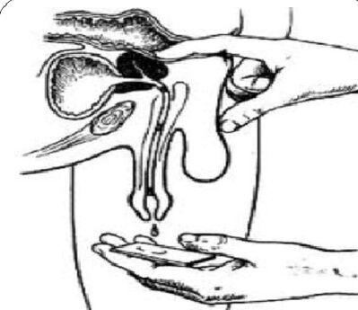 Prostate massage to get a secret
